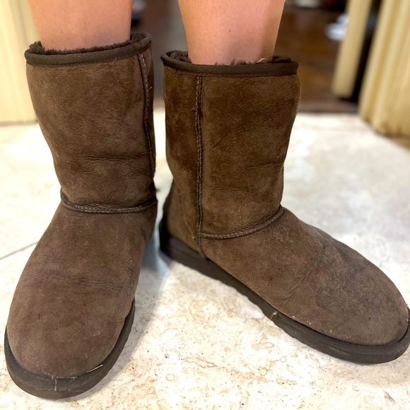 Women’s Short Chocolate Uggs Size 9 - Picture 2 of 5